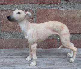 beeldje Whippet tan-wit