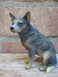 beeldje Australian Cattle Dog blauw