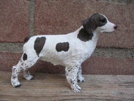 beeldje Bretonse spaniel / Brittany spaniel wit-lever