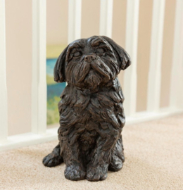 asbeeld/urn Shih Tzu | 26,5 cm