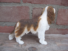 beeldje Cavalier King Charles spaniel blenheim
