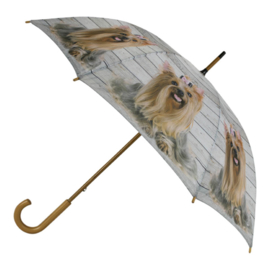 paraplu Yorkshire Terriër