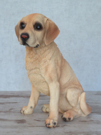 beeld Golden Retriever zittend | 27 cm