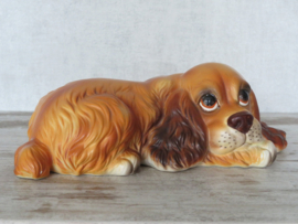 vintage beeldje Engelse Cocker spaniel liggend