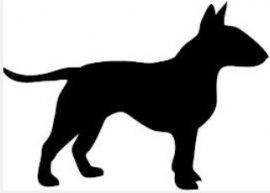 Bull Terrier zie: Engelse Bull Terrier