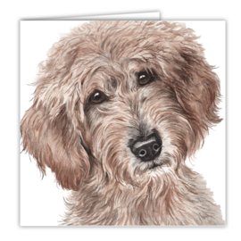 wenskaart Labradoodle