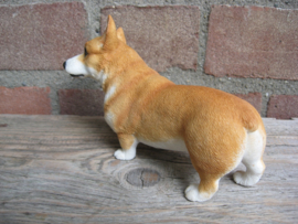 beeldje Welsh Corgi Pembroke