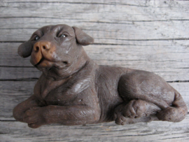 koelkastmagneet Labrador chocolate