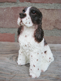 beeldje Engelse Springer spaniel zittend