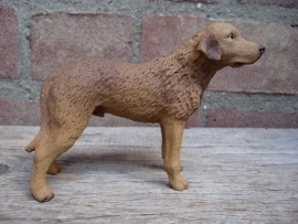 beeldje Chesapeake Bay Retriever