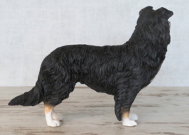 beeldje Border Collie tricolour