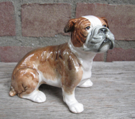 vintage beeldje Engelse Bulldog porselein