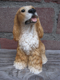 beeldje Amerikaanse Cocker spaniel