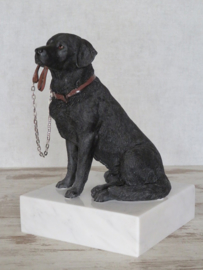 beeldje Labrador zwart met riem