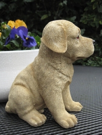 beeldje Labrador blond puppy