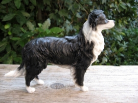 beeldje Border Collie staand