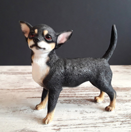 beeldje Chihuahua staand tricolour