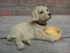 beeldje Labrador blond met voerbakje