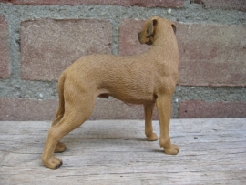 beeldje Duitse Dog fawn