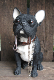 beeldje Franse Bulldog met riem zittend zwart