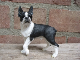 beeldje Boston Terrier staand