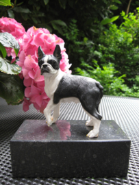 beeldje Boston Terrier staand