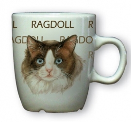 senseomok Ragdoll