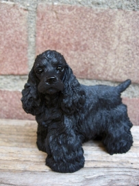 beeldje Amerikaanse Cocker spaniel zwart