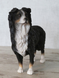 beeldje Border Collie tricolour