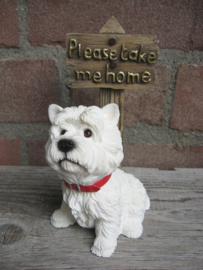 beeldje West Highland White Terriër 'Please take me home'
