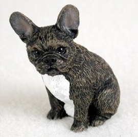 miniatuur Franse Bulldog zwart
