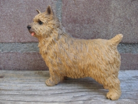 beeldje Norwich Terrier