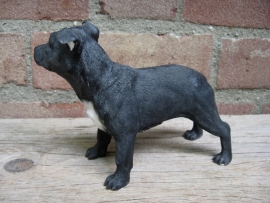 beeldje Staffordshire Bull Terriër zwart