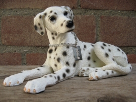 beeldje Dalmatier liggend