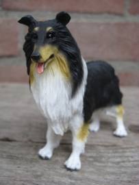 beeldje Schotse Collie tricolour