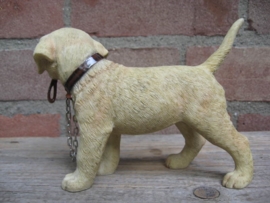 beeldje Labrador blond met riem staand