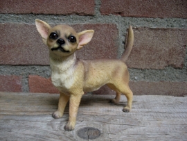 beeldje Chihuahua staand