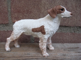 beeldje Bretonse spaniel / Brittany spaniel wit-bruin