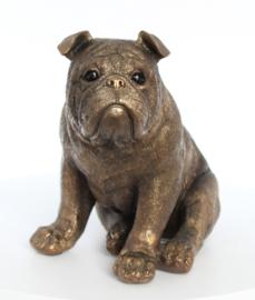 beeldje Engelse Bulldog bronskleur