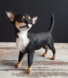 beeldje Chihuahua staand tricolour