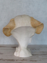 Labrador kop vintage
