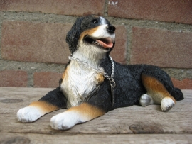 beeldje Berner Sennenhond