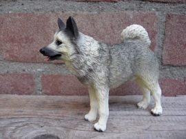 beeldje Noorse Elandhond / Elkhound