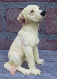 beeldje Labrador blond zittend