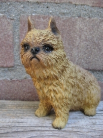 beeldje Belgische Griffon rood