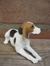 beeldje American Foxhound