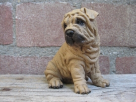 beeldje Sharpei zittend bruin