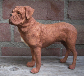 beeldje Bordeaux Dog