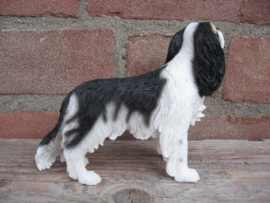 beeldje Cavalier King Charles spaniel tricolour