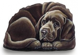 presse papier/mini deurstop Labrador chocolate